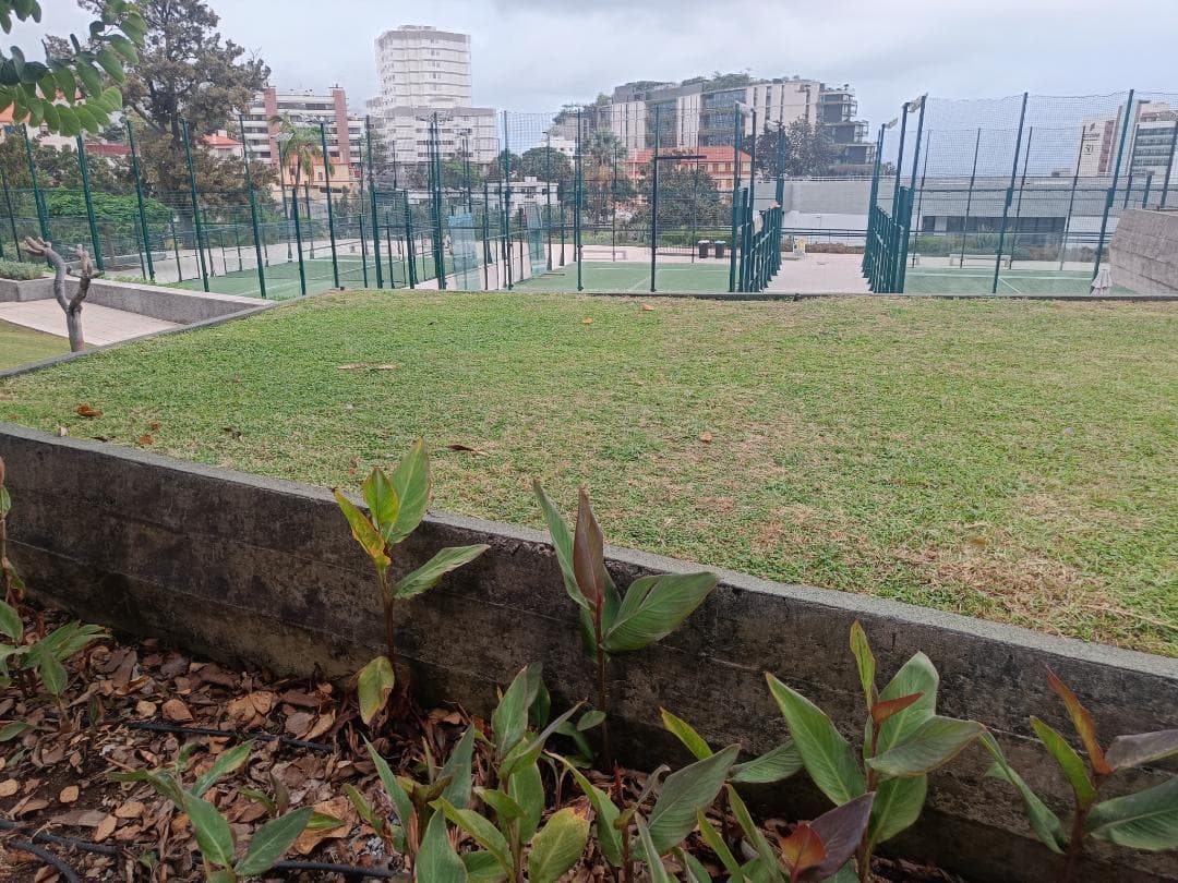 Quinta Magnolia at Quinta Magnólia Tennis & Padel, Rua Dr. Pita 10, 9000, 9000 Funchal, Portugal - Event image